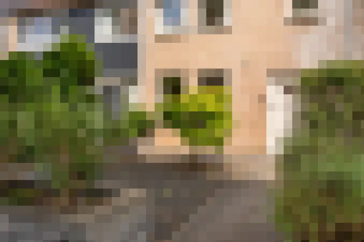 Zuiderkruis 16 Hoogeveen thumbnail 45
