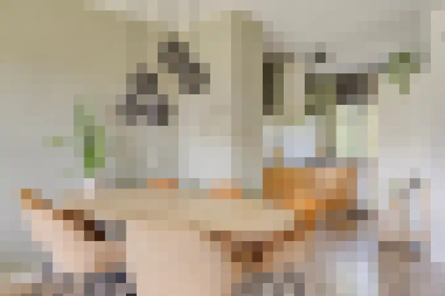Zuiderkruis 172 Veenendaal thumbnail 12