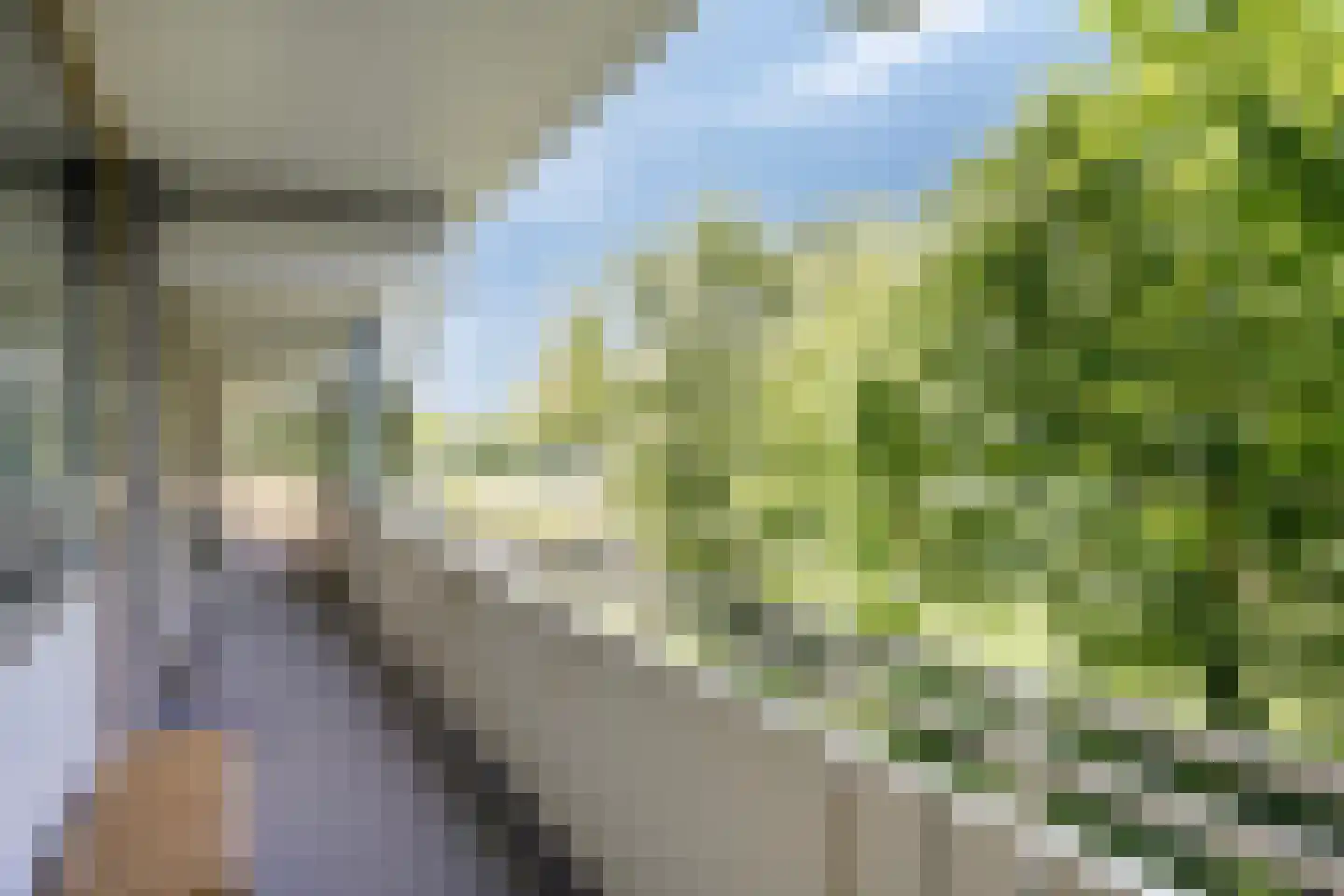 Zuiderkruis 172 Veenendaal thumbnail 5