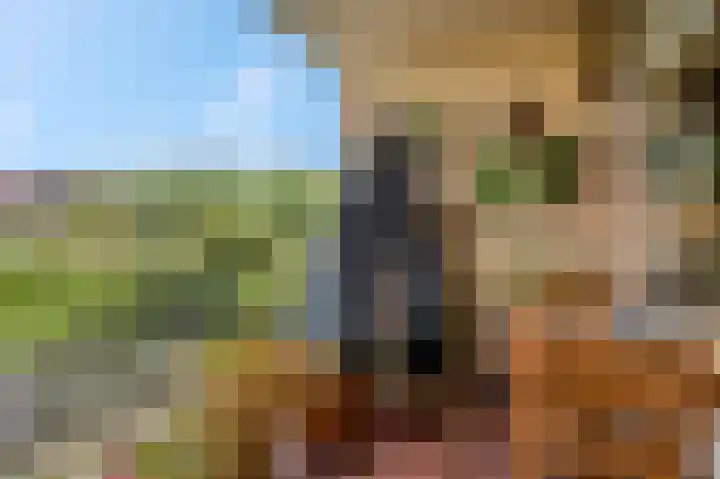 Zuiderkruis 180 Veenendaal thumbnail 21