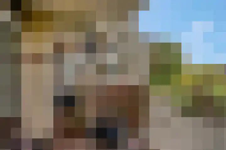 Zuiderkruis 180 Veenendaal thumbnail 22