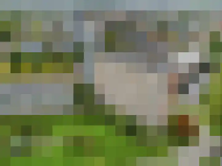 Zuiderkruis 180 Veenendaal thumbnail 32