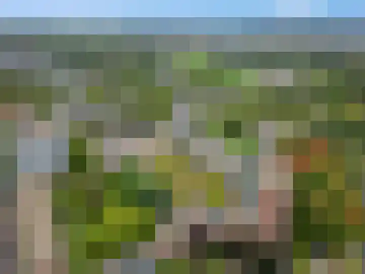 Zuiderkruis 180 Veenendaal thumbnail 35