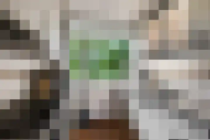 Zuiderkruis 180 Veenendaal thumbnail 8