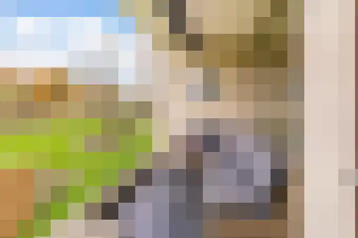 Zuiderkruis 194 Veenendaal thumbnail 14
