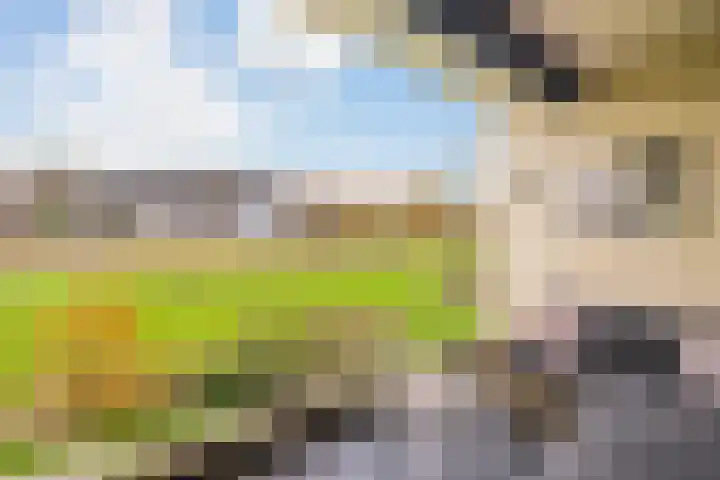 Zuiderkruis 194 Veenendaal thumbnail 15