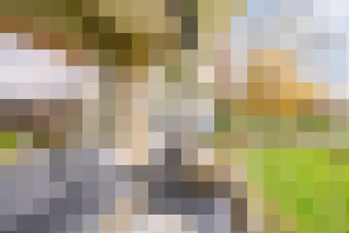 Zuiderkruis 194 Veenendaal thumbnail 16