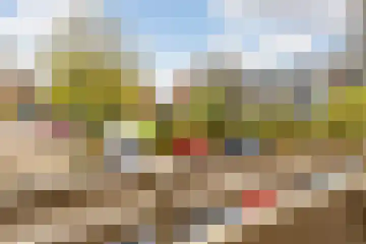 Zuiderkruis 194 Veenendaal thumbnail 17