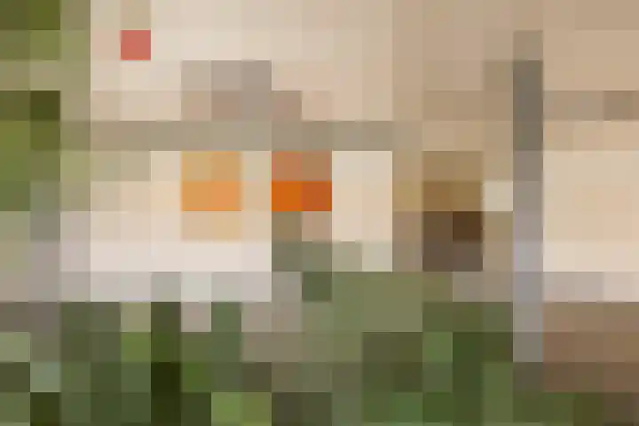 Zuiderkruis 194 Veenendaal thumbnail 18