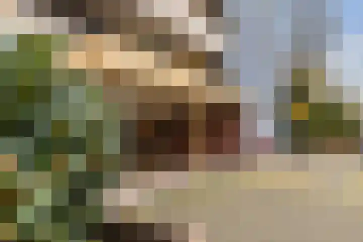 Zuiderkruis 194 Veenendaal thumbnail 21