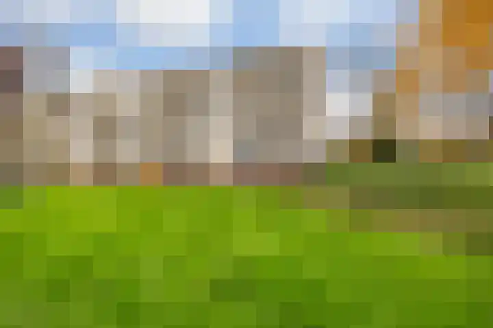 Zuiderkruis 194 Veenendaal thumbnail 23