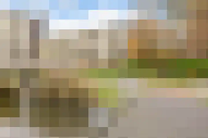 Zuiderkruis 194 Veenendaal thumbnail 24