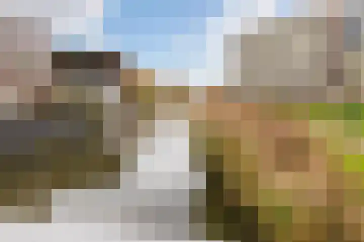 Zuiderkruis 194 Veenendaal thumbnail 25