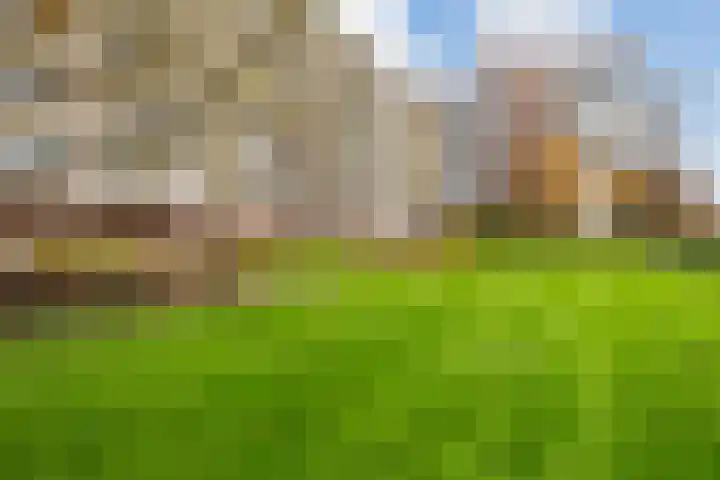 Zuiderkruis 194 Veenendaal thumbnail 26