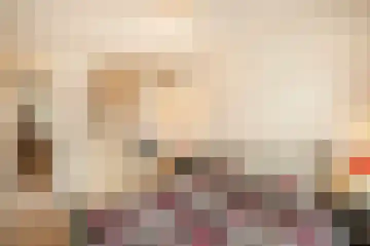 Zuiderkruis 194 Veenendaal thumbnail 9
