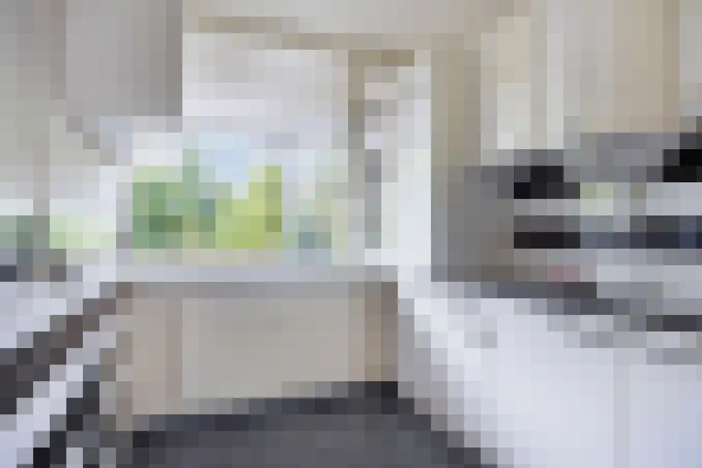 Zuiderkruis 196 Veenendaal thumbnail 14