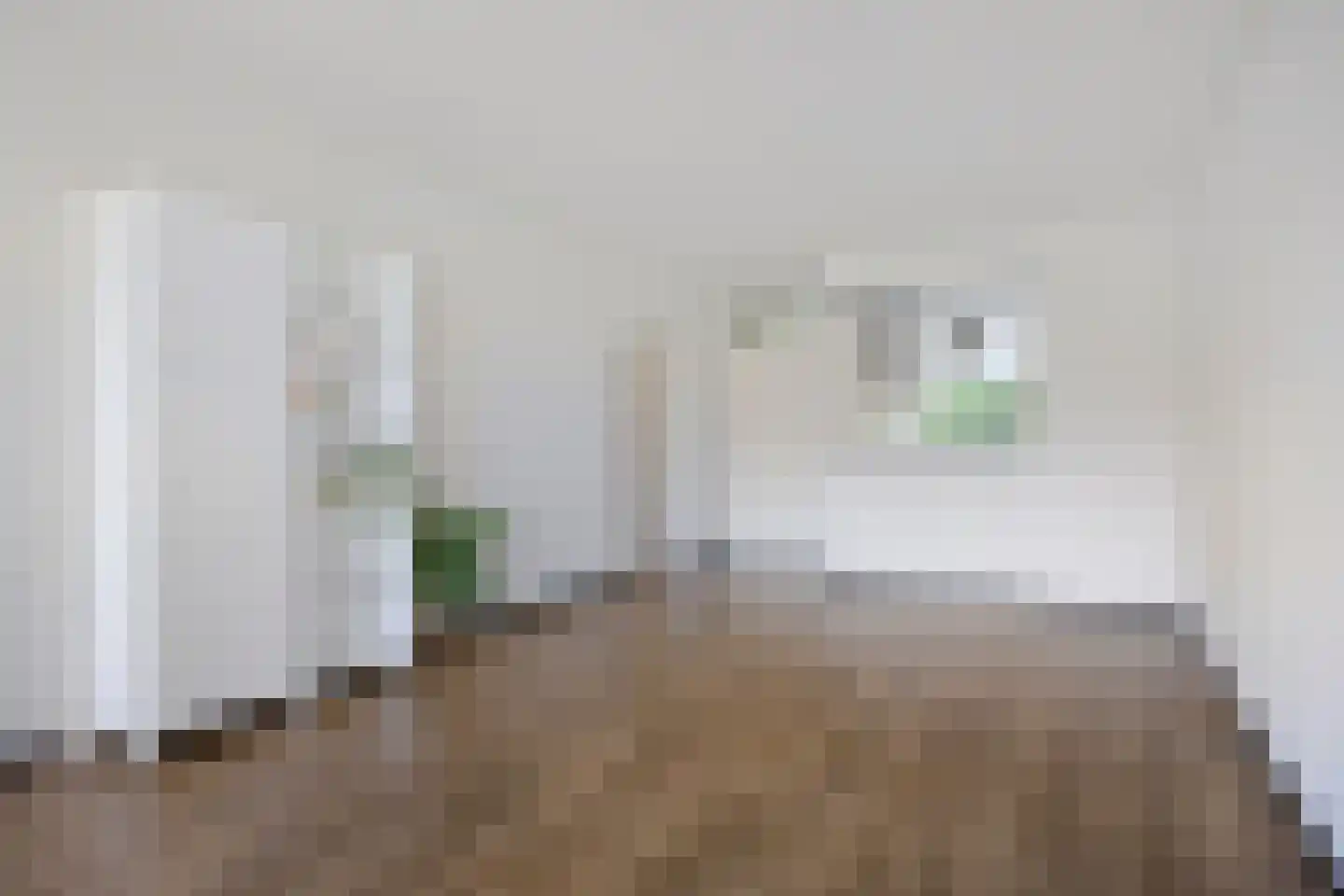 Zuiderkruis 196 Veenendaal thumbnail 17