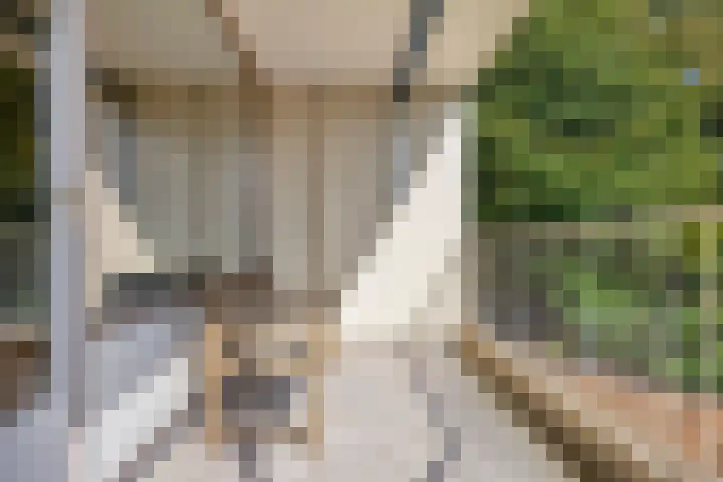 Zuiderkruis 196 Veenendaal thumbnail 6