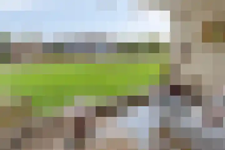 Zuiderkruis 198 Veenendaal thumbnail 16
