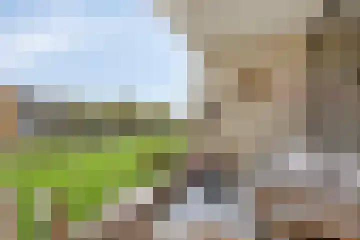 Zuiderkruis 198 Veenendaal thumbnail 17