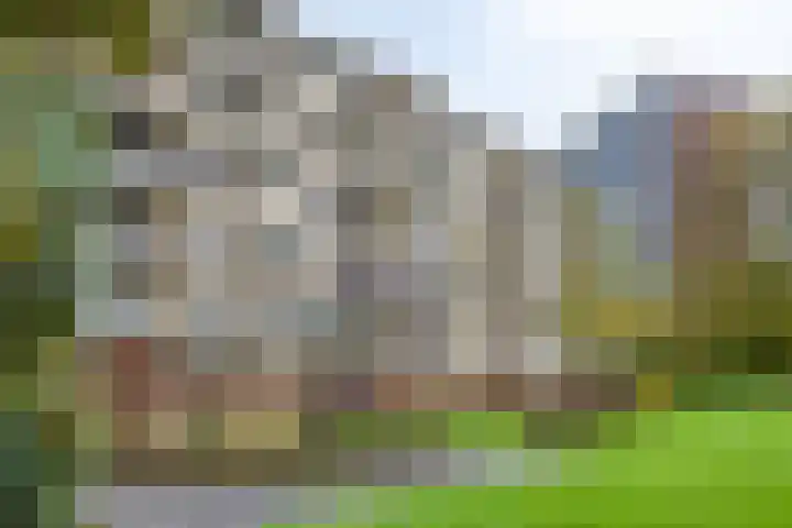 Zuiderkruis 198 Veenendaal thumbnail 24