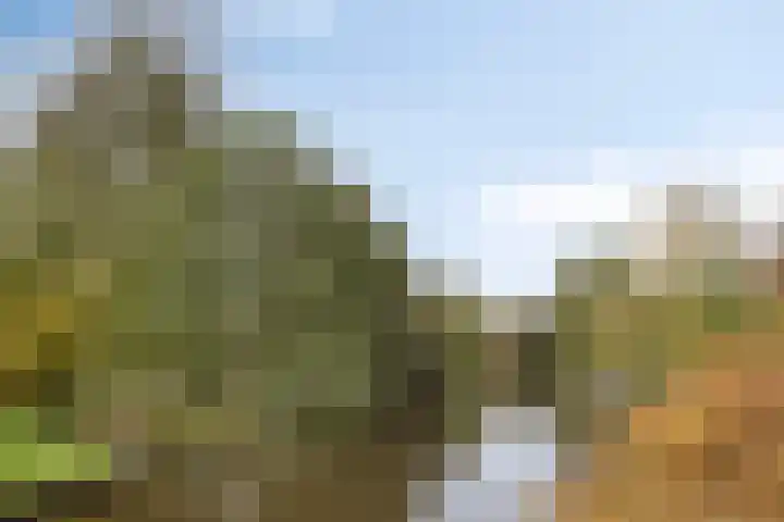 Zuiderkruis 198 Veenendaal thumbnail 25