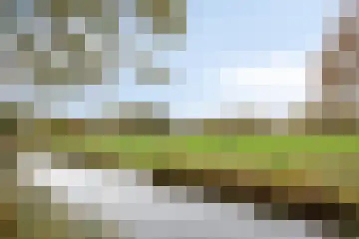 Zuiderkruis 198 Veenendaal thumbnail 26