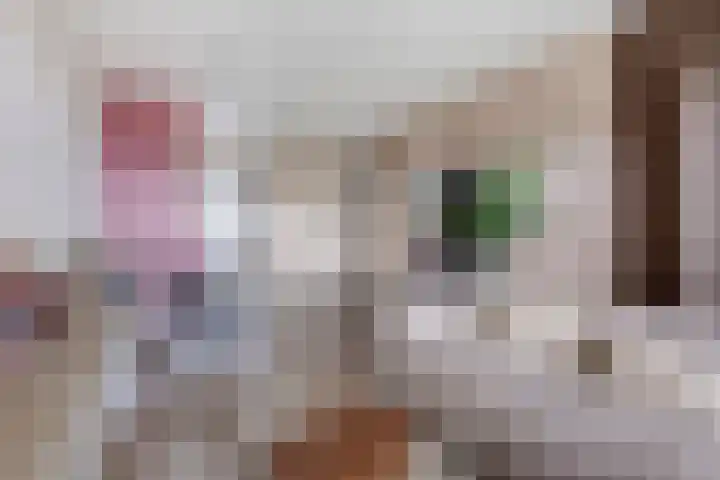 Zuiderkruis 198 Veenendaal thumbnail 8