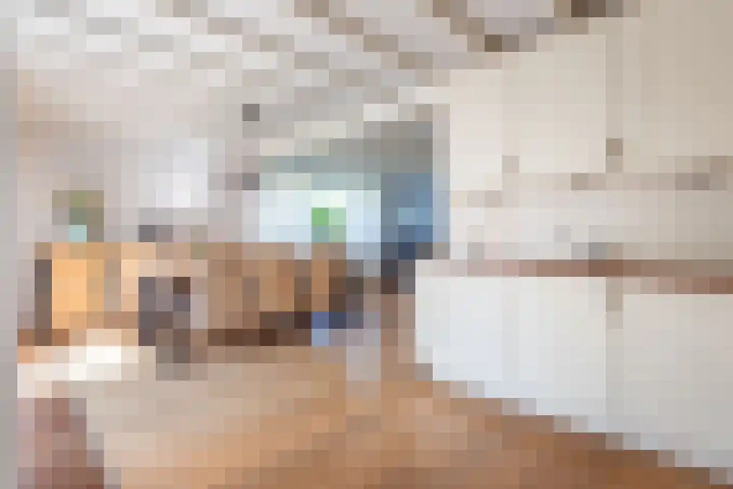 Zuiderkruis 21 Ulft foto 3