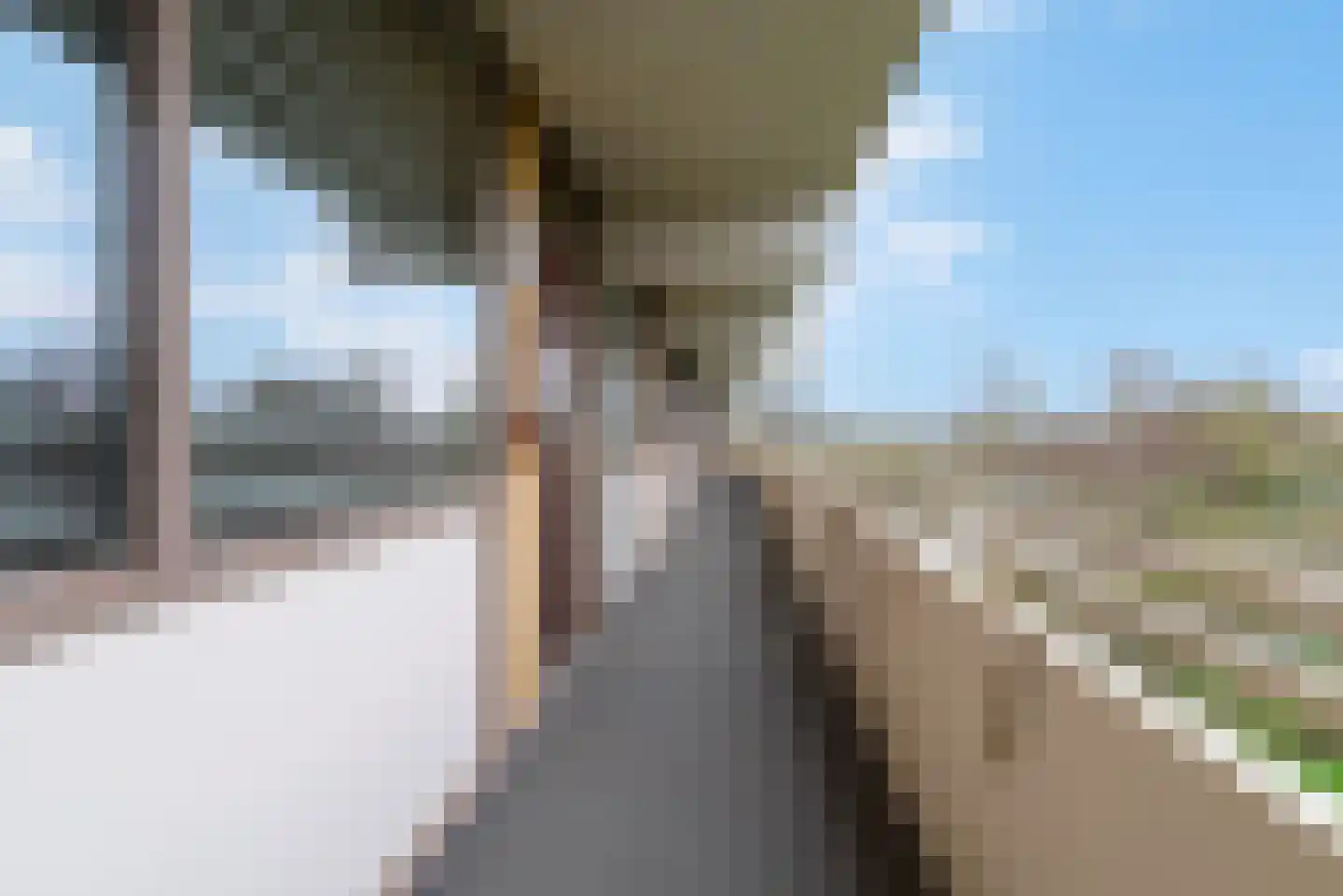Zuiderkruis 234 Veenendaal thumbnail 7