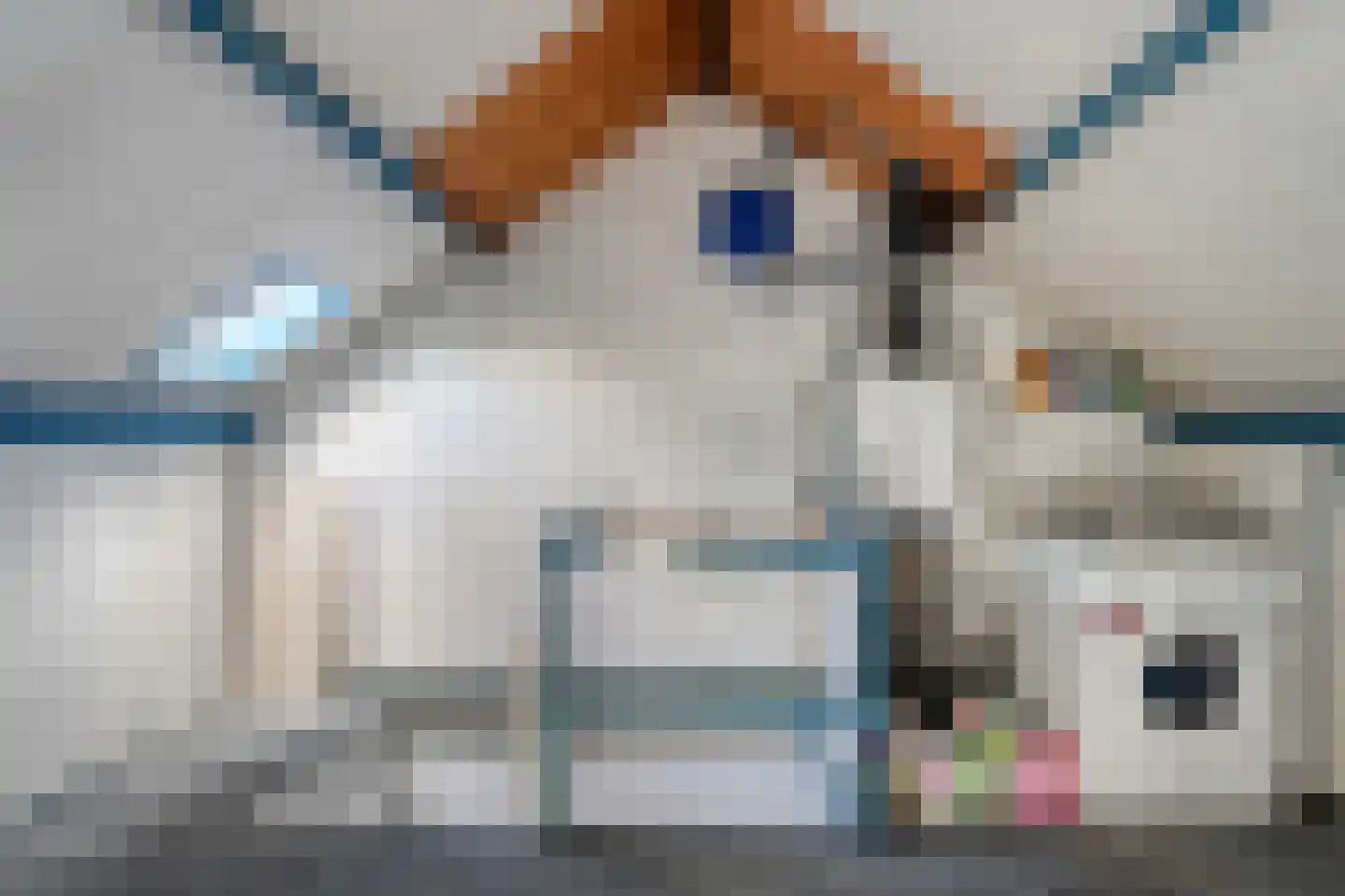 Zuiderkruis 24 Hoogeveen thumbnail 37