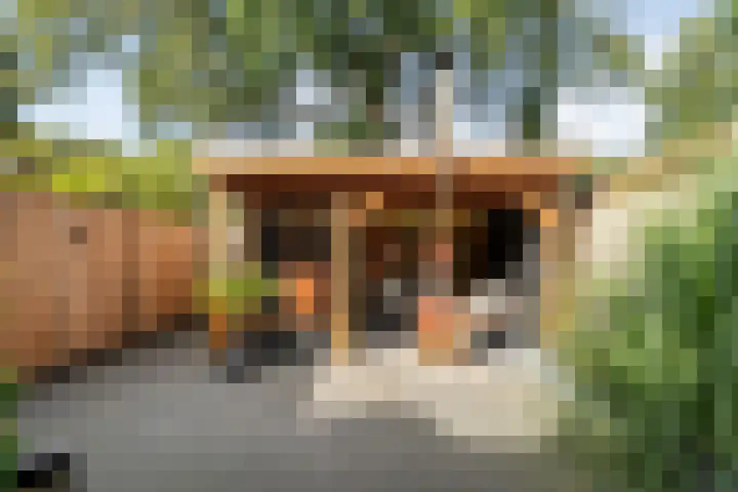 Zuiderkruis 24 Hoogeveen thumbnail 4