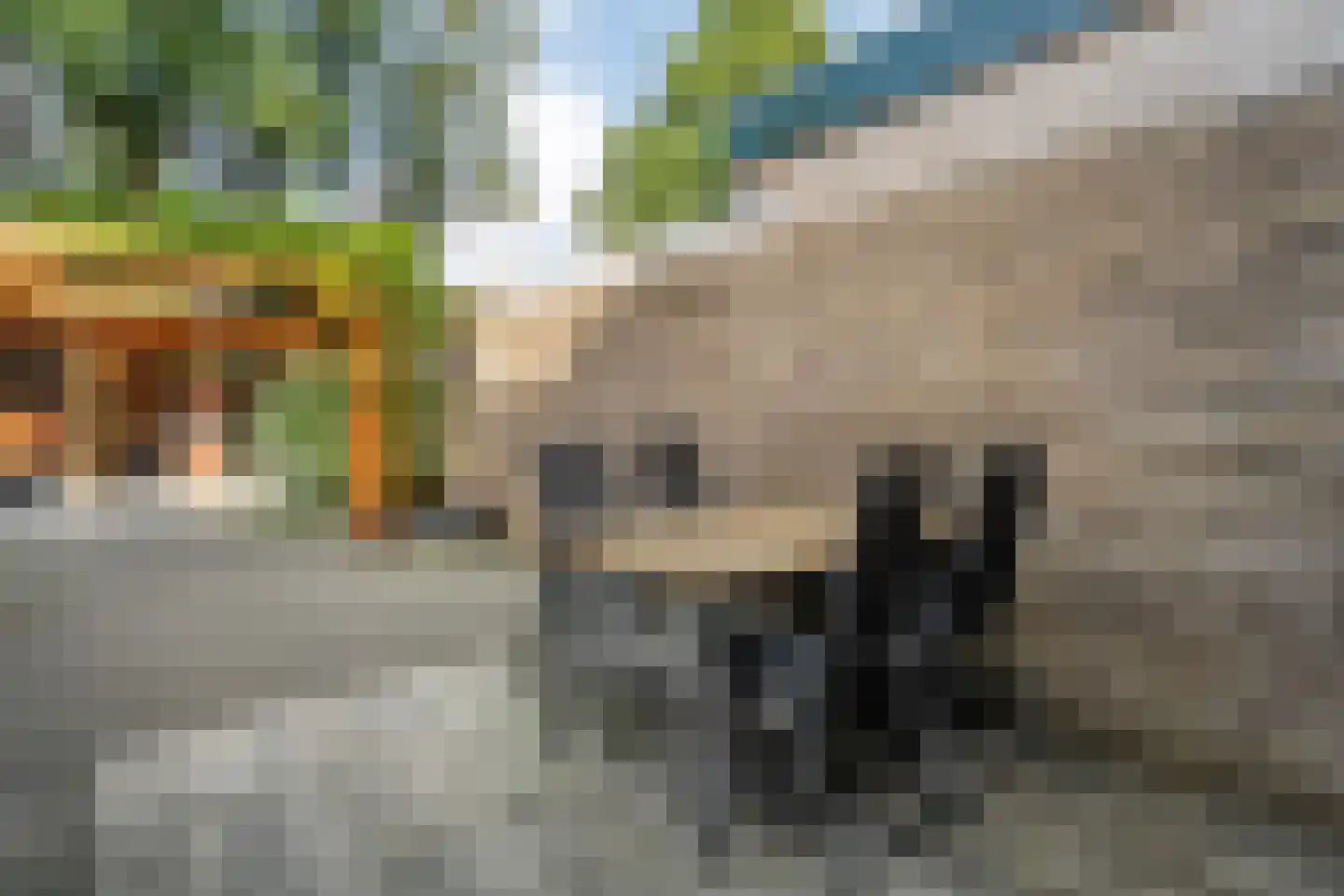 Zuiderkruis 24 Hoogeveen thumbnail 43