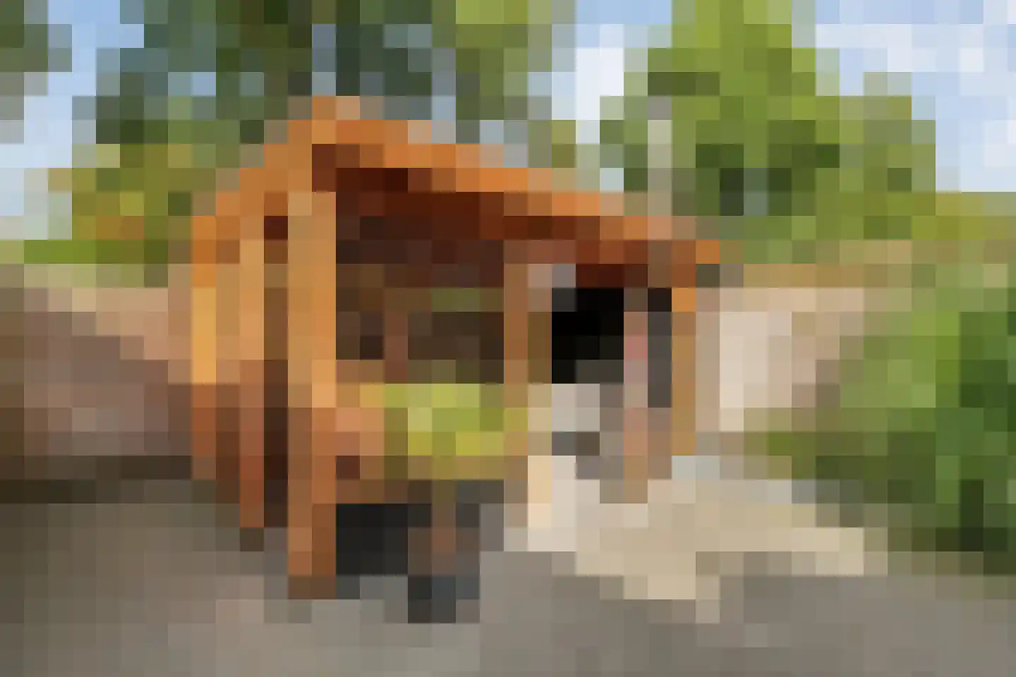 Zuiderkruis 24 Hoogeveen thumbnail 5