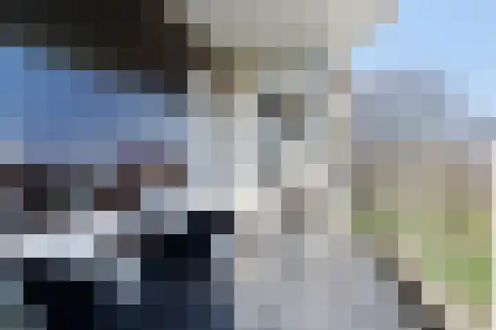 Zuiderkruis 250 Veenendaal thumbnail 12