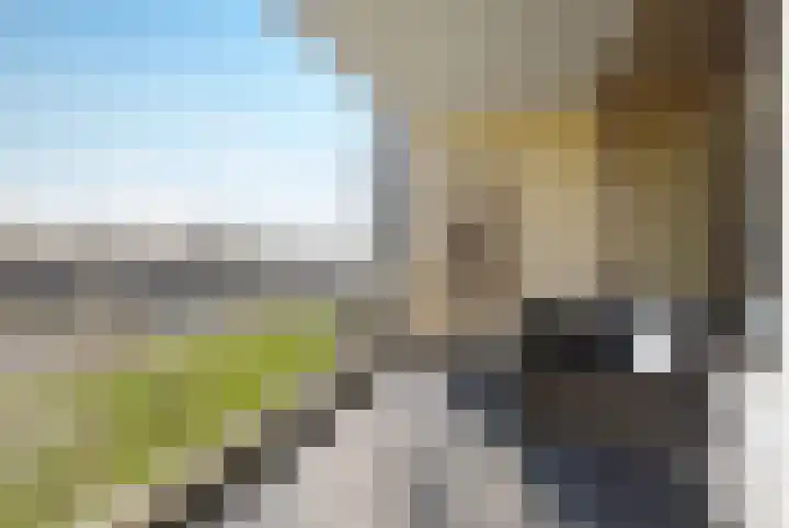 Zuiderkruis 250 Veenendaal thumbnail 13
