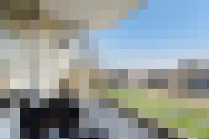 Zuiderkruis 250 Veenendaal thumbnail 14