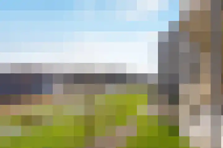 Zuiderkruis 250 Veenendaal thumbnail 16