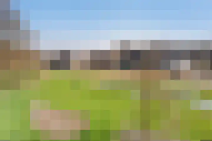 Zuiderkruis 250 Veenendaal thumbnail 17