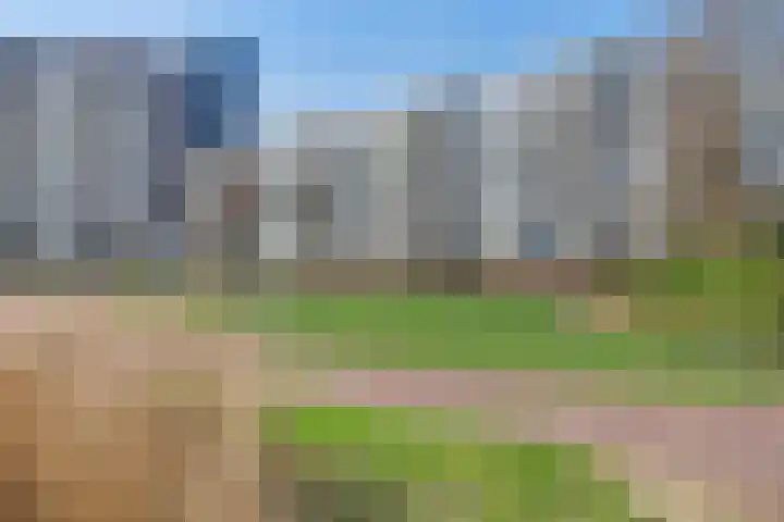 Zuiderkruis 250 Veenendaal thumbnail 20