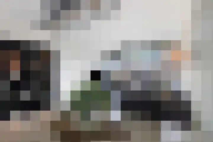 Zuiderkruis 250 Veenendaal thumbnail 22