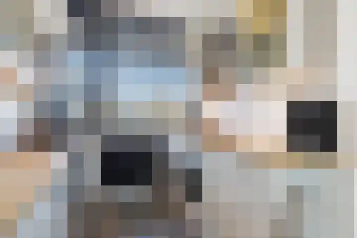 Zuiderkruis 250 Veenendaal thumbnail 27