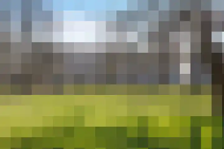 Zuiderkruis 250 Veenendaal thumbnail 46