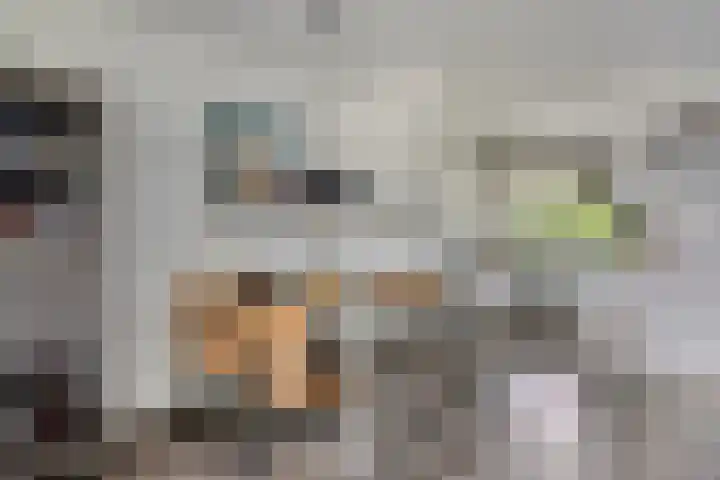 Zuiderkruis 258 Veenendaal thumbnail 10
