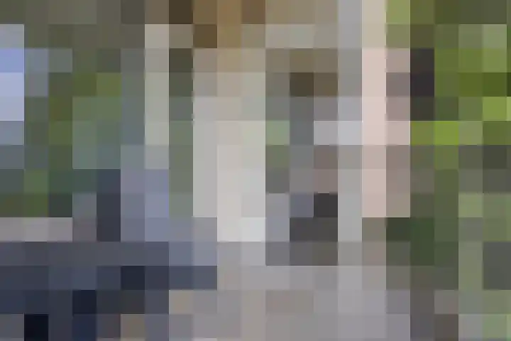 Zuiderkruis 258 Veenendaal thumbnail 17