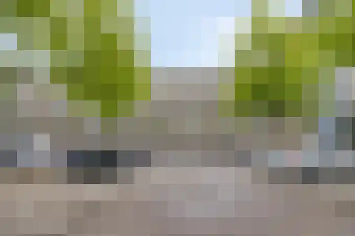 Zuiderkruis 258 Veenendaal thumbnail 20