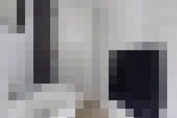 Zuiderkruis 258 Veenendaal thumbnail 5