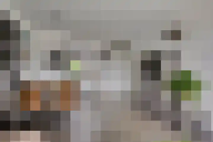 Zuiderkruis 258 Veenendaal thumbnail 8