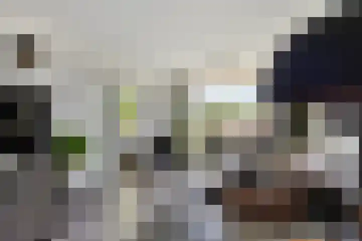 Zuiderkruis 258 Veenendaal thumbnail 9