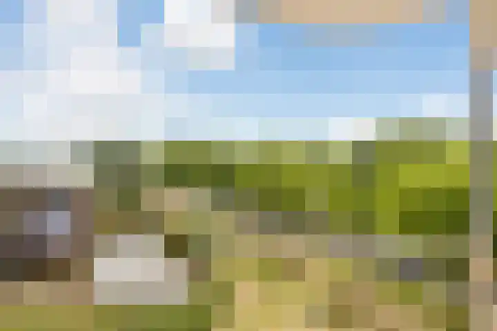 Zuiderkruis 290 Veenendaal thumbnail 24